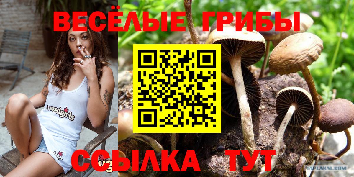 Псилоцибиновые грибы GOLDEN TEACHER Ижевск