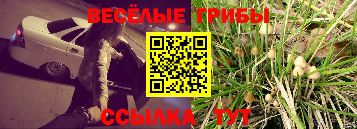 Ижевск  Галлюциногенные грибы Psilocybine cubensis  Вход с VPN 